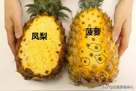 买水果时，要分清“菠萝”和“凤梨”，长得差不多，区别可不小图片