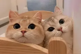 有这4种健康心态的人，特别擅长「搞定」爱情——图片