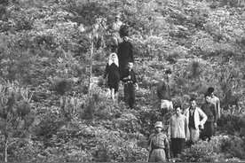 深圳特区的催生针(逃港潮)图片