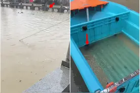 哪来的？暴雨后中山男子家门口积水，竟出现1米长大青鱼图片