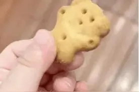 搞笑沙雕表情包，宝儿，给你我的小熊饼干图片