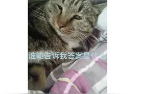 家政人员在雇主家洗澡时摔伤索赔28万余元，为何诉讼请求被法院驳回？图片