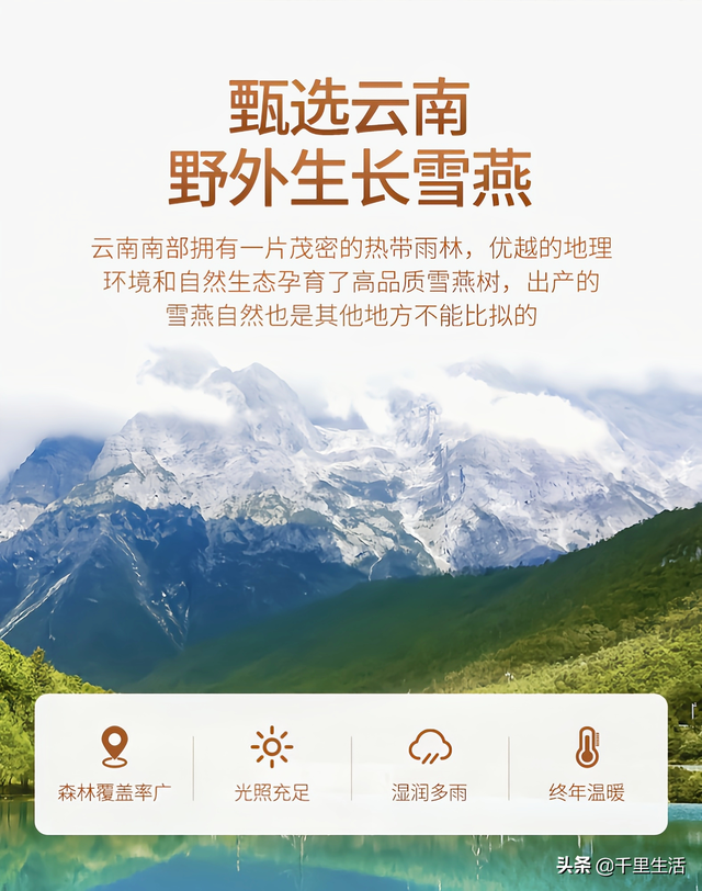 花胶雪燕果冻的做法 花胶雪燕果冻的做法窍门