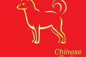 生肖狗2023年下半年，特别要注意什么事情？顺顺利利度过下半年！图片