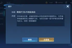 收到鹰眼护卫队邀请函，加入后能干嘛？有工资吗？图片