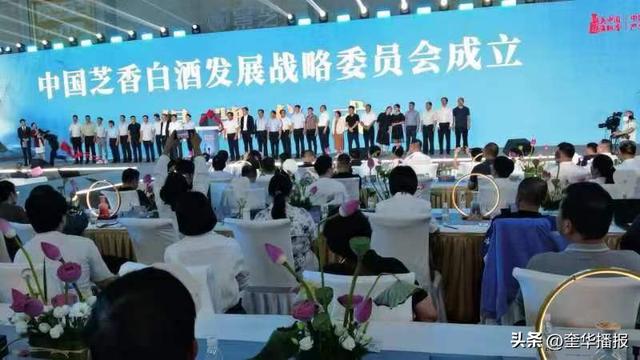 文章图片2