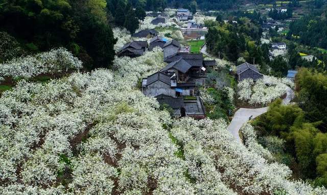 四川省民生研究会新媒体中心-官网