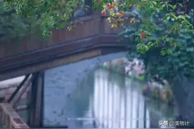 倚窗听雨，雨落成诗图片