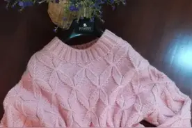 巧手织女冉冉2002的蝴蝶花（四叶草）织毛衣，好喜欢哦图片