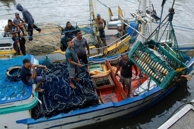 阴阳花胶香港多少钱一斤 花胶 阴阳胶