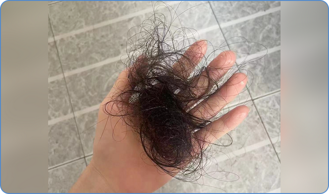 ���Ѿ���������Ч����������˰�����6���������3�£��������