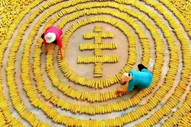 我国粮食充足到核战级别？美国用粮食锁住多国命脉，中国如何应对图片