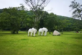 浙江有个远离城市喧嚣名山，可一路吹海风，踏沙而行图片
