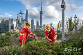 老虹口人镜头下的北外滩“常看常新”图片