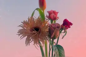 当一个男人，频繁对你做一件事的时候，说明他真的很爱你图片