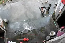 广东90岁老奶奶持棍激战大蛇！可能是什么蛇？会不会判刑、遭报复图片