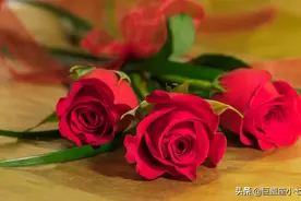 这三个星座可以驾驭摩羯座，不仅狠，还会攻心图片