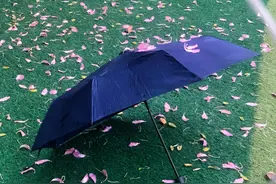 我把秘密告诉了花，花香吹满了整个小巷图片