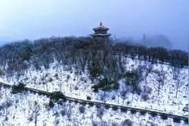 今天，连云港下雪了！图片