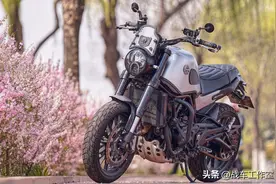 原创：19升油箱的幼狮500？一万多的幼狮500？图片