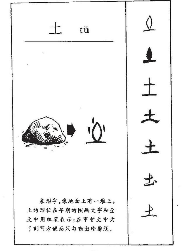 甲骨文“帝”字字源的新解读