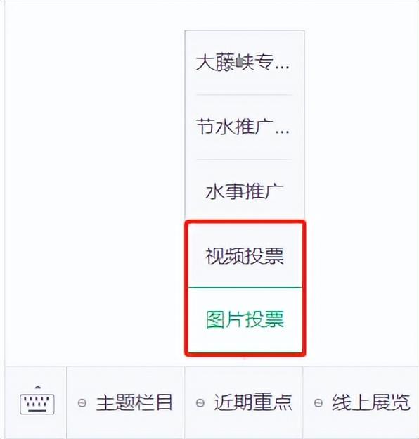 ����ͶƱ������ʼ������鿴ʱ�䣡