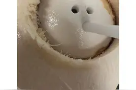 开了口的椰子水何以成了毒药？图片
