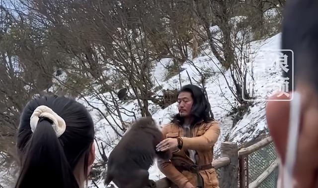 男子回应和峨眉山猴子“互殴”