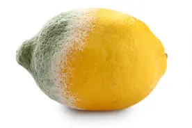 打死都不吃的3种水果！1种喂养癌细胞，1种伤透肝脏，1种全是寄生虫！别因一时嘴馋葬送健康图片