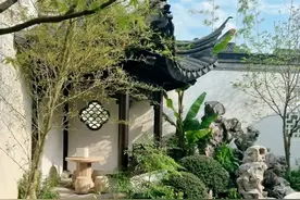 要想院子好看就要种竹子，但竹子可不能乱种！这三招教会你...图片