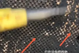 关于颗粒捕捉器，你不知道的两种事实。图片