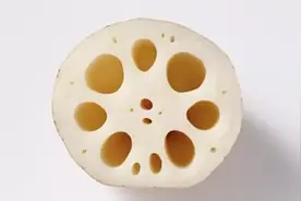莲藕为什么会有孔？图片