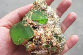 天津男子定居河南10年，捡了600多块蛟河橄榄石，专家：建议上交图片