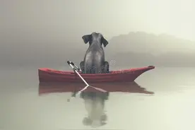 你有没有过一种很奇妙的感觉图片