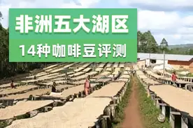 非洲大湖咖啡区介绍，非洲大湖区五国14种咖啡豆评测图片