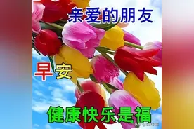 早上好表情问候祝福，一声早安，愿好友开心一整天、幸福每一天图片