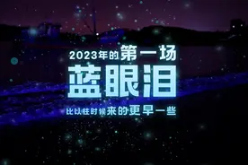 平潭“蓝眼泪”正值初期！追“泪”攻略来了→图片