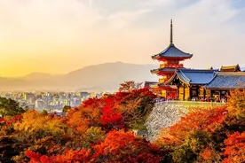 愿世间所有的美好，都是恰逢其时！图片