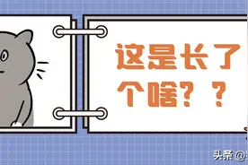 一张图判断猫咪身上的“包”是什么图片