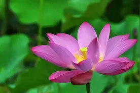 人到五十五，赶紧把这四件事给“办了”，余生才能安稳图片