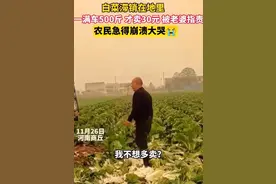 大叔因500斤白菜卖30元痛哭系摆拍，当事人：拍着玩的，就是想涨涨粉儿图片