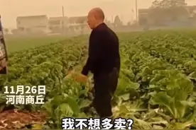 大叔因500斤白菜卖30元痛哭系摆拍，当事人：拍着玩的，就是想涨涨粉儿图片