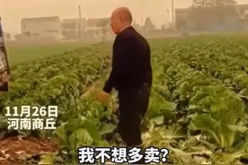 大叔因500斤白菜卖30元痛哭系摆拍，当事人：拍着玩的，就是想涨涨粉儿图片
