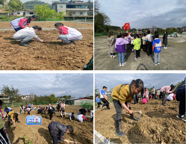 四川省民生研究会新媒体中心-官网
