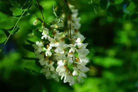 势，是形势、局势、态势，是一种不可抗拒的趋势图片