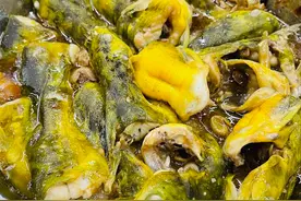 无论炖什么鱼，最忌放这2种料，放错了鱼又腥又难吃，还没营养图片