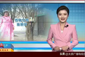 【视频】山西太原：桃园三巷觅海棠图片