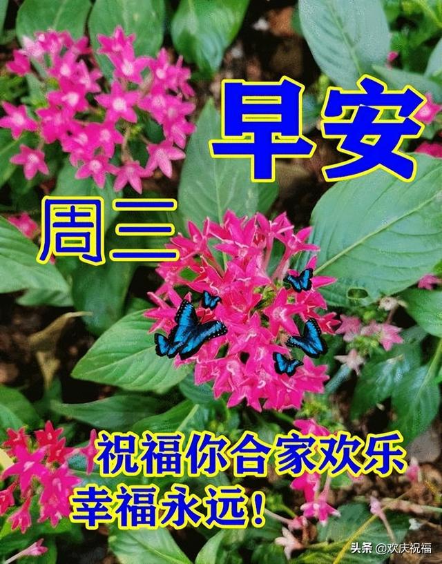 7月20日周三早上好表情大全，感恩有你，时光不老，陪您永永远远
