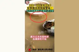 河南一村庄周围出现大量蛇，有毒吗？蛇类变多是好事吗？图片