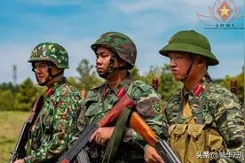 越南陆军下辖4个机动军，一个战略王牌军，到底有多少兵力？图片